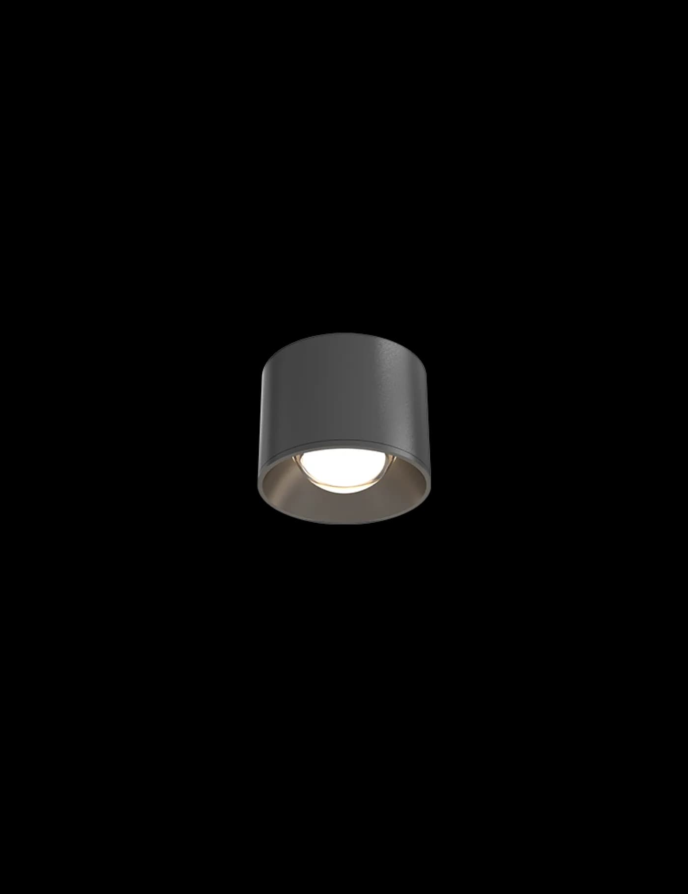 NEKO MIU ART ceiling light
