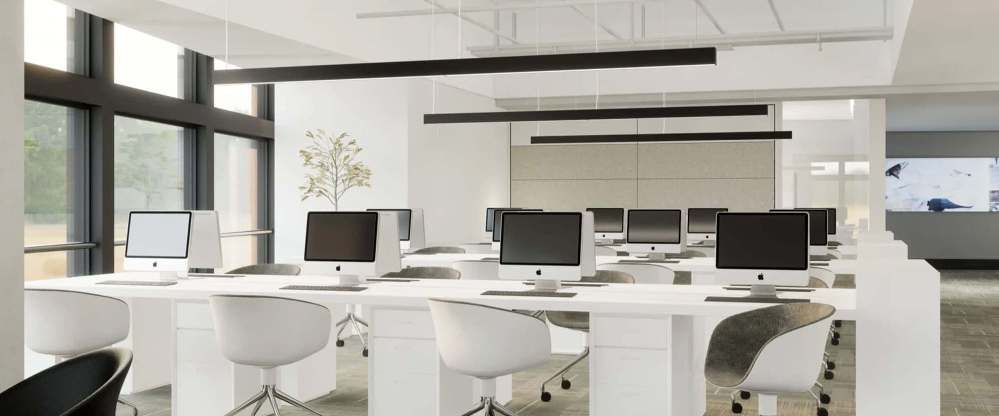 Linear systems — NEKO application imagery