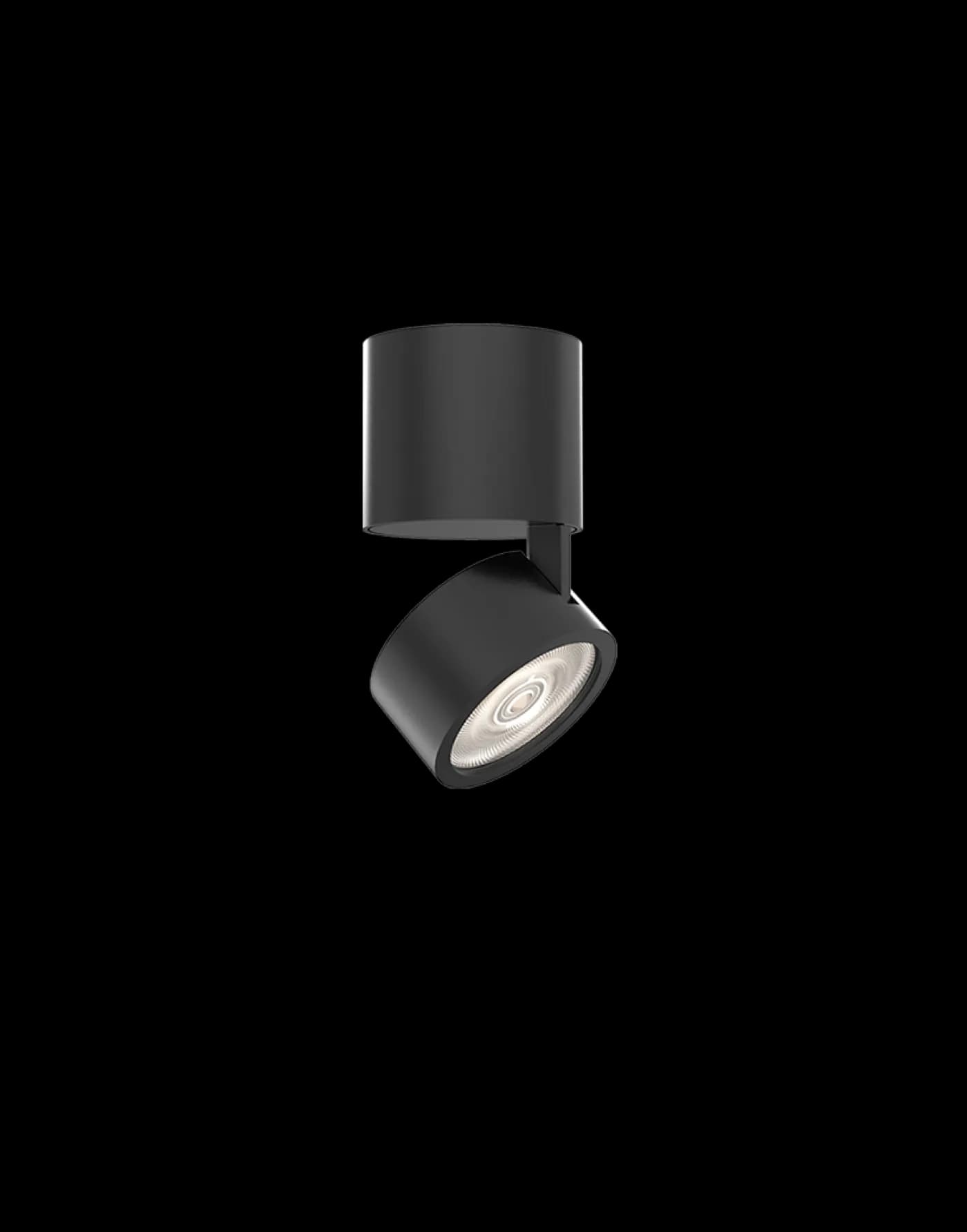 NEKO VIBES ceiling light